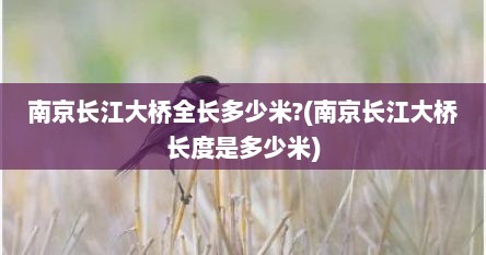 南京长江大桥全长多少米?(南京长江大桥长度是多少米)