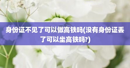 身份证不见了可以做高铁吗(没有身份证丢了可以坐高铁吗?)