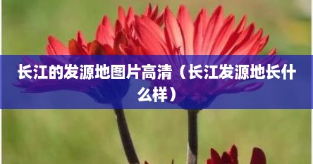 长江的发源地图片高清（长江发源地长什么样）