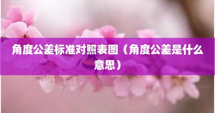 角度公差标准对照表图（角度公差是什么意思）