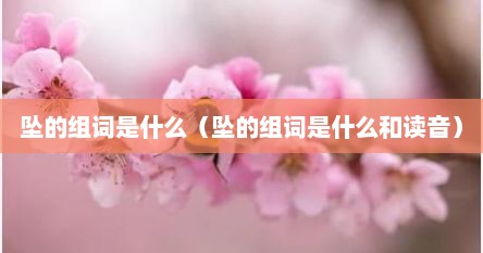 坠的组词是什么（坠的组词是什么和读音）