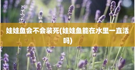 娃娃鱼会不会装死(娃娃鱼能在水里一直活吗)