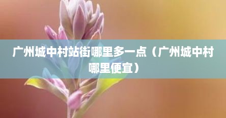 广州城中村站街哪里多一点（广州城中村哪里便宜）