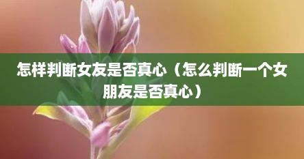 怎样判断女友是否真心（怎么判断一个女朋友是否真心）