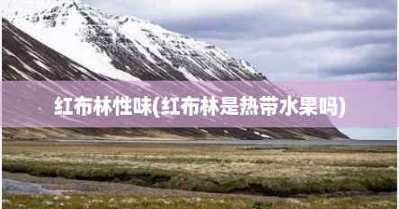 红布林性味(红布林是热带水果吗)