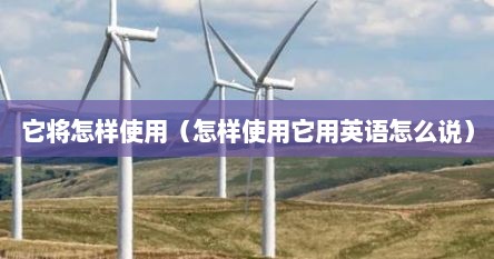 它将怎样使用（怎样使用它用英语怎么说）