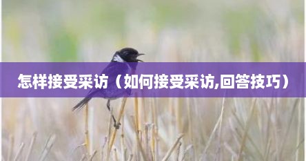 怎样接受采访（如何接受采访,回答技巧）