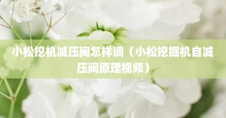 小松挖机减压阀怎样调（小松挖掘机自减压阀原理视频）