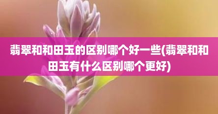翡翠和和田玉的区别哪个好一些(翡翠和和田玉有什么区别哪个更好)