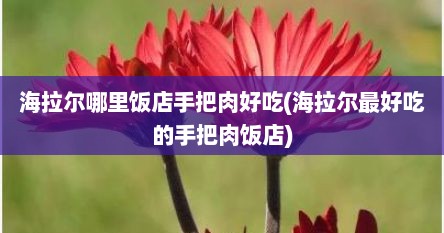 海拉尔哪里饭店手把肉好吃(海拉尔最好吃的手把肉饭店)
