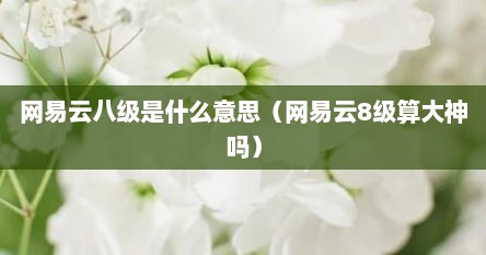 网易云八级是什么意思（网易云8级算大神吗）