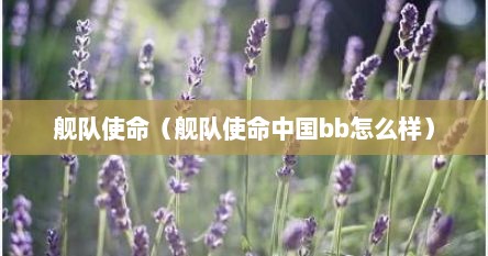 舰队使命（舰队使命中国bb怎么样）