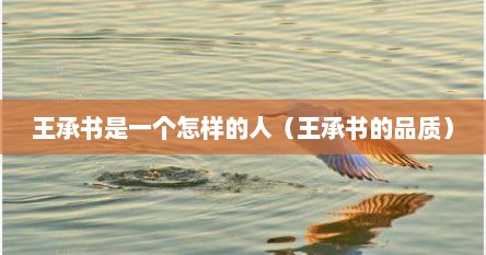 王承书是一个怎样的人（王承书的品质）