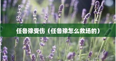 任鲁豫受伤（任鲁豫怎么救场的）
