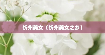 忻州美女（忻州美女之乡）