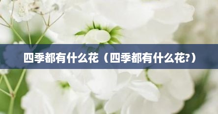 四季都有什么花（四季都有什么花?）