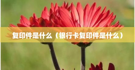 复印件是什么（银行卡复印件是什么）
