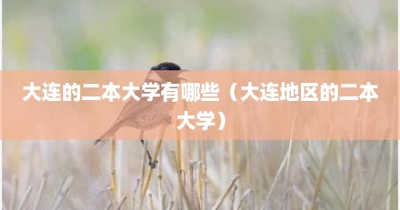 大连的二本大学有哪些（大连地区的二本大学）