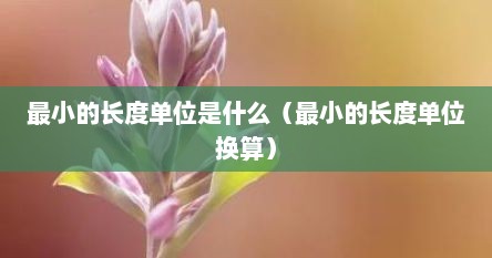 最小的长度单位是什么（最小的长度单位换算）