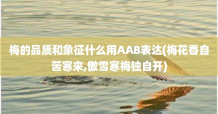 梅的品质和象征什么用AAB表达(梅花香自苦寒来,傲雪寒梅独自开)