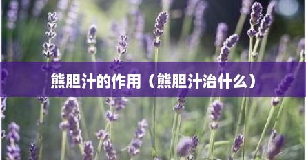 熊胆汁有什么用处（熊胆汁治什么病）