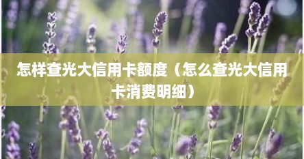 怎样查光大信用卡额度（怎么查光大信用卡消费明细）