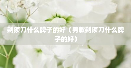 剃须刀什么牌子的好（男款剃须刀什么牌子的好）