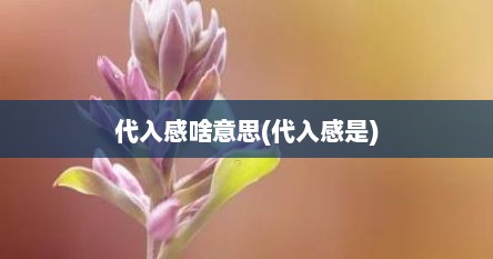代入感啥意思(代入感是)