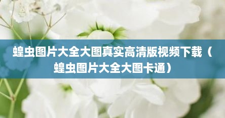 蝗虫图片大全大图真实高清版视频下载（蝗虫图片大全大图卡通）