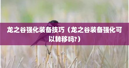 龙之谷强化装备技巧（龙之谷装备强化可以转移吗?）