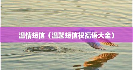 温情短信（温馨短信祝福语大全）