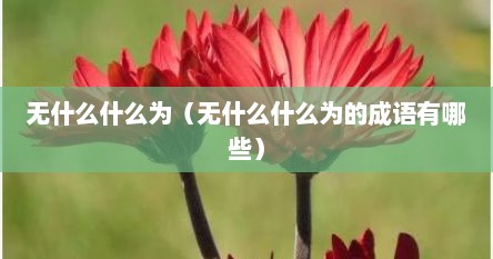 无什么什么为（无什么什么为的成语有哪些）