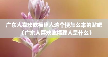 广东人喜欢吃福建人这个梗怎么来的贴吧（广东人喜欢吃福建人是什么）