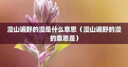 漫山遍野的漫是什么意思（漫山遍野的漫的意思是）
