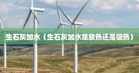 生石灰加水（生石灰加水是放热还是吸热）