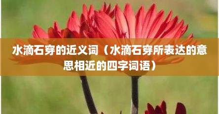 水滴石穿的近义词（水滴石穿所表达的意思相近的四字词语）