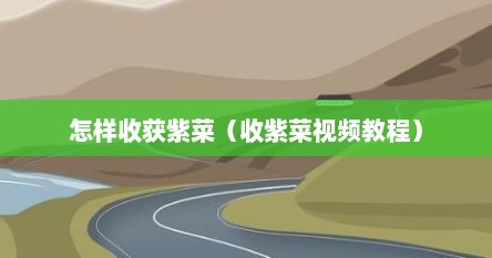 怎样收获紫菜（收紫菜视频教程）