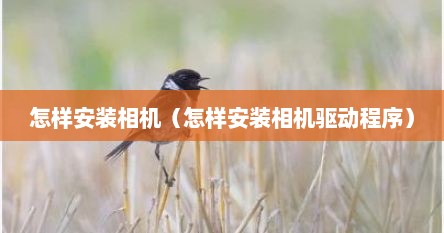 怎样安装相机（怎样安装相机驱动程序）