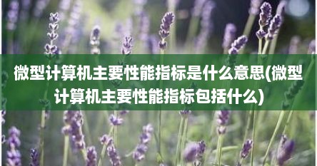 微型计算机主要性能指标是什么意思(微型计算机主要性能指标包括什么)