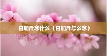 日加斤念什么（日加斤怎么念）