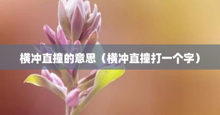 横冲直撞的意思（横冲直撞打一个字）