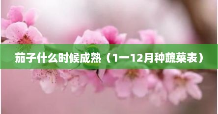 茄子什么时候成熟（1一12月种蔬菜表）