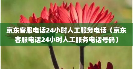 京东客服电话24小时人工服务电话（京东客服电话24小时人工服务电话号码）