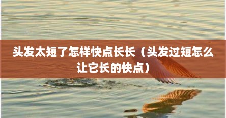 头发太短了怎样快点长长（头发过短怎么让它长的快点）