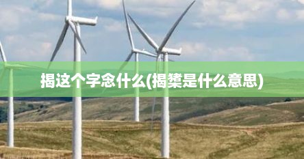 揭这个字念什么(揭橥是什么意思)