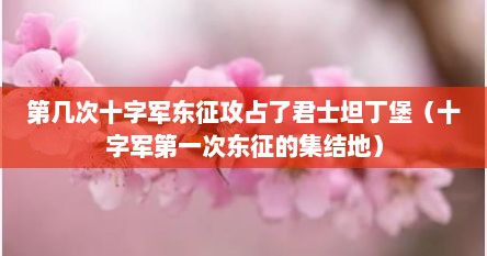 第几次十字军东征攻占了君士坦丁堡（十字军第一次东征的集结地）