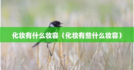 化妆有什么妆容（化妆有些什么妆容）