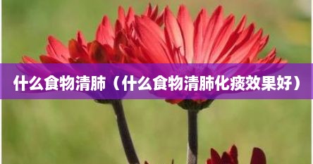 什么食物清肺（什么食物清肺化痰效果好）