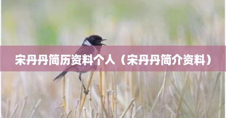 宋丹丹简历资料个人（宋丹丹简介资料）