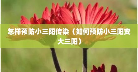 怎样预防小三阳传染（如何预防小三阳变大三阳）